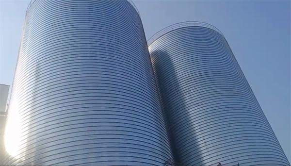 双湖2座混凝土高架卷板仓